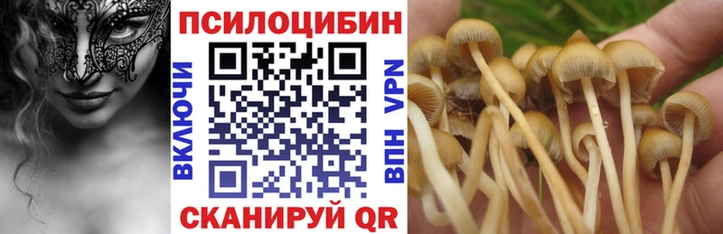 Галлюциногенные грибы мицелий  гидра ссылки  Калининск 